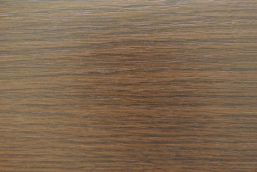 Texture of  wood to serve as background