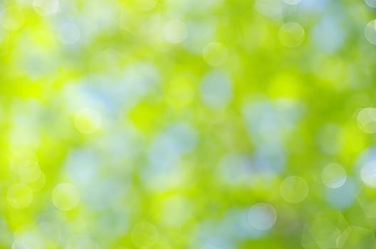Natural green a blurred background