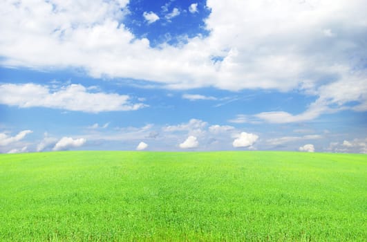 field on a background of the blue sky