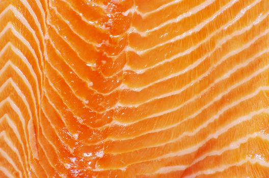 background salmon steak red fish 