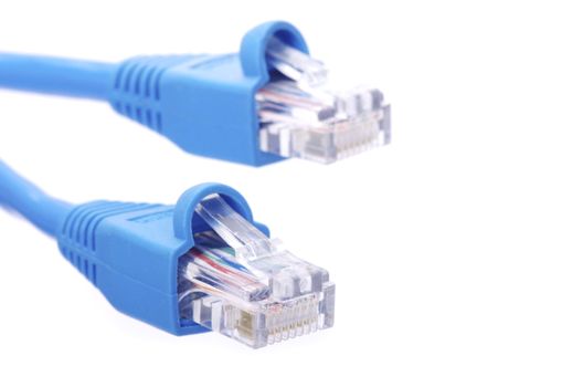  Macro shot of network connection plug