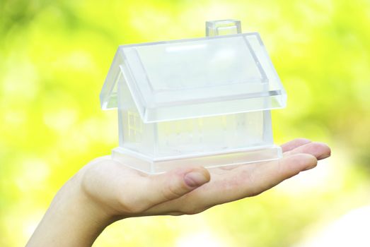 The house in human hand