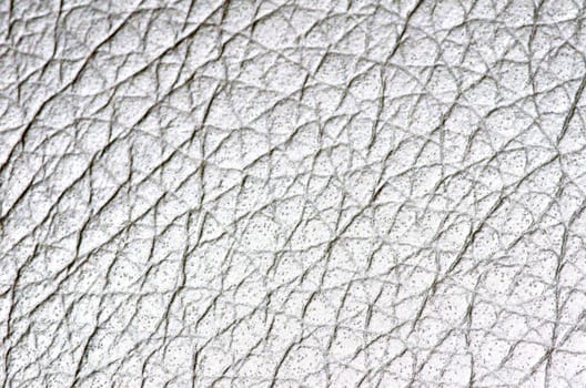 Natural qualitative white leather texture