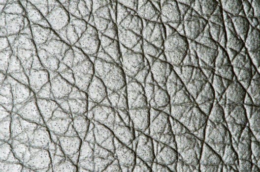 Natural qualitative white leather texture