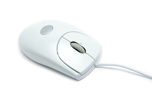  computer mouse isolated on white background