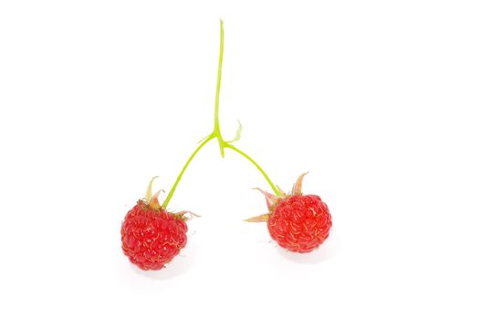 Ripe raspberry on a white background