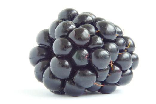 blackberry isolated on a white background