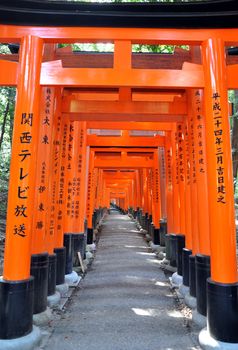 Famous bright orange torii gates of Fushimi Inari Taisha Shrine in Kyoto, Japan 