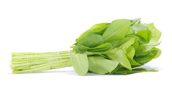 fresh sorrel isolated on white background