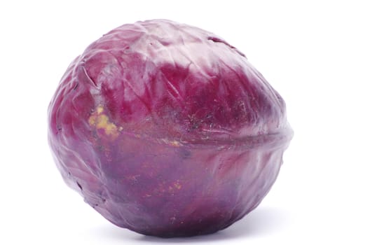 A head of purple cabbage