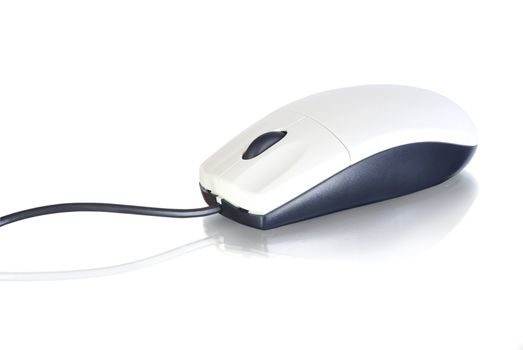  computer mouse isolated on white background