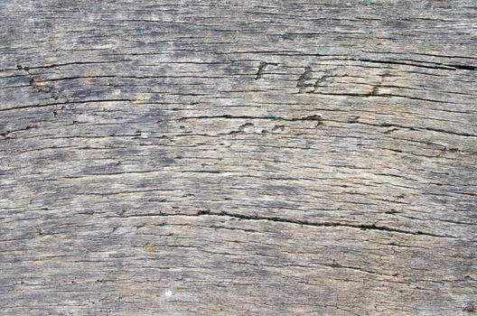 Texture of  wood to serve as background