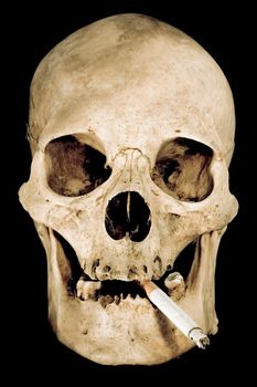 Human skull with cigarette isolated on a black background.