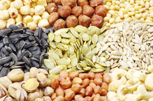  seeds and nuts with collection