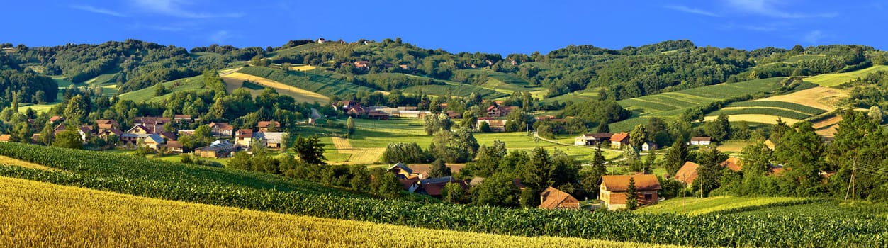 Green landscape village scenery, with corn and hay fields