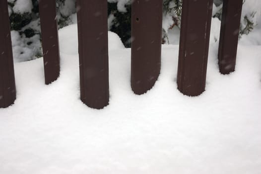 Fence in winter