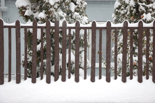 Fence in winter