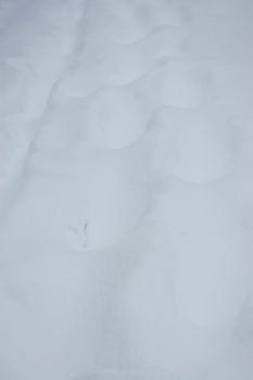 Foot prints in snow