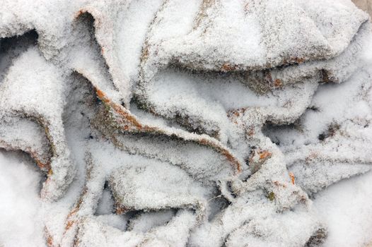 Blanket covered with snow