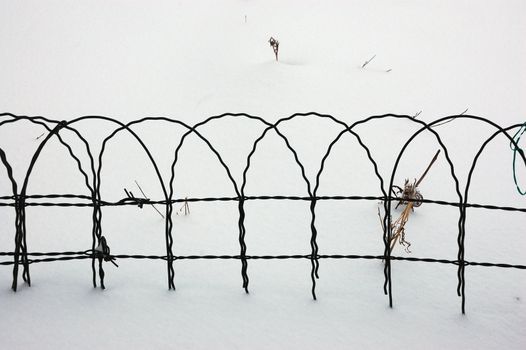 Fence in winter