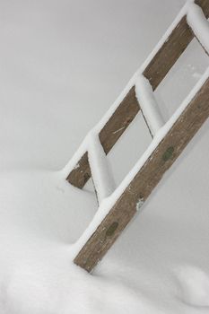 Garden ladder in winter