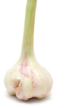 Garlic isolated on a white background.