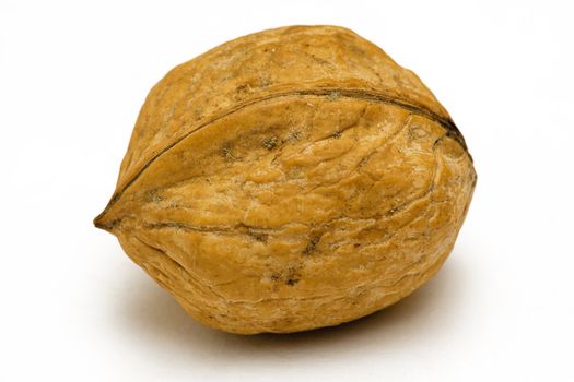 Brown walnut isolated on a white background.