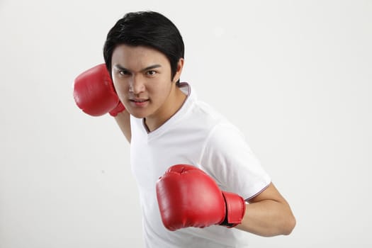 Male boxer with gloves