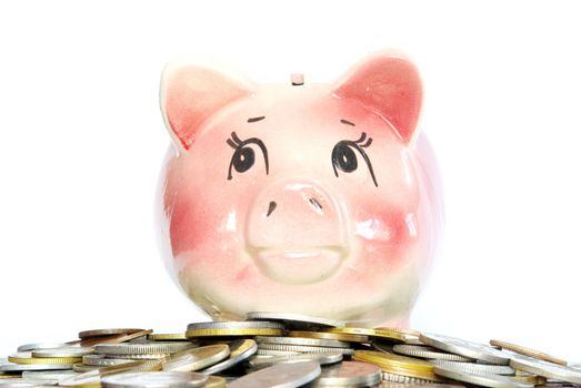 Pink piggy bank  isolated on white background with coins