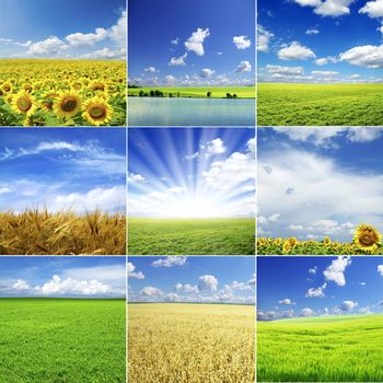 field on a background of the blue sky