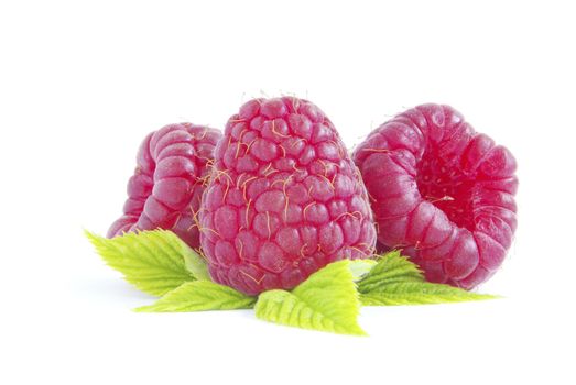 fresh raspberry closeup isolated on white background