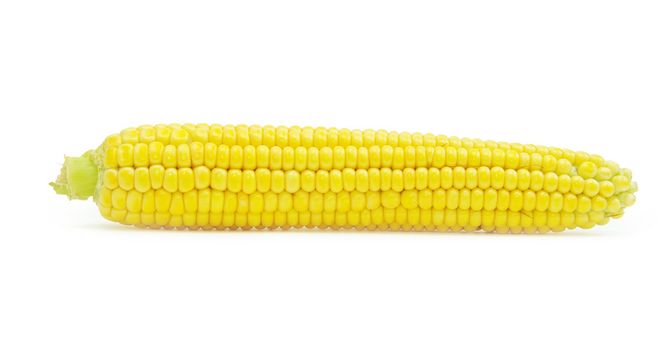 Sweet maize isolated on white background