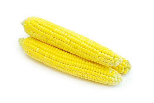 Sweet maize isolated on white background