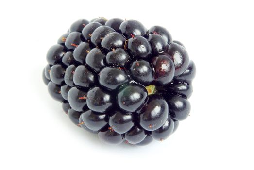 blackberry isolated on a white background