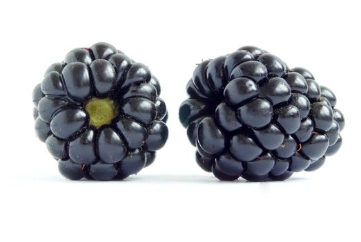 blackberry isolated on a white background