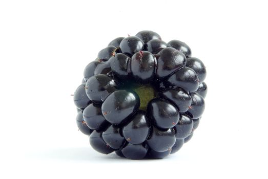 blackberry isolated on a white background
