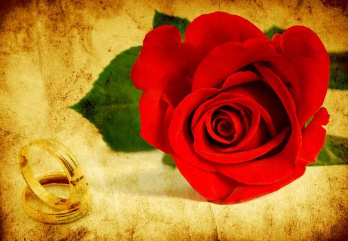  red rose on a grunge background with space for text