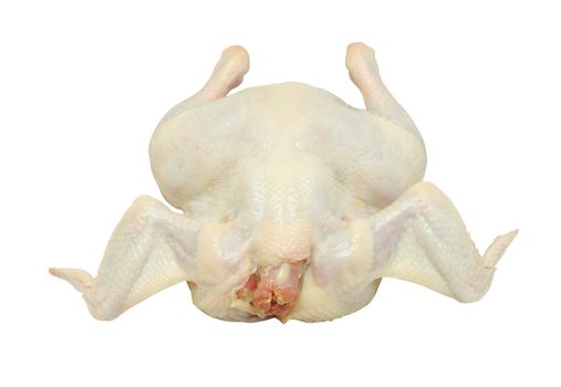 raw chicken isolated on white background