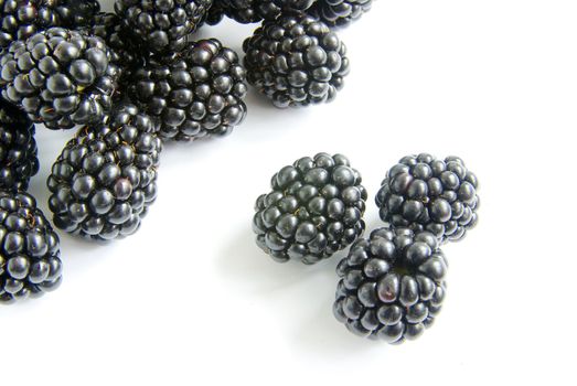 blackberry isolated on a white background