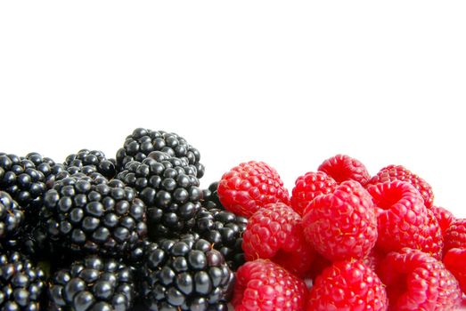 raspberry and blackberry on  white isolated background