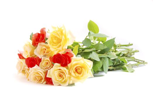 red rose isolated on a white background