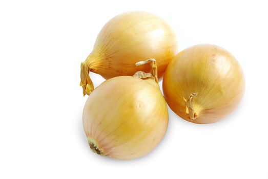 Ripe onion on a white background