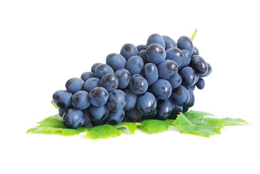 Fresh grapes brunch with green leafs