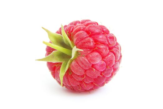 fresh raspberry closeup isolated on white background
