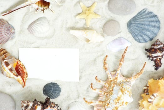 sea stars and shells an blank postcard on sands