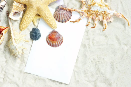 sea stars and shells an blank postcard on sands