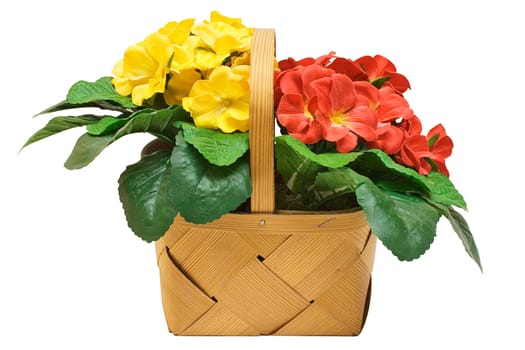 Flowers in a wooden basket isolated on a white background. File contains clipping path.