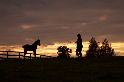 with horse at sunset