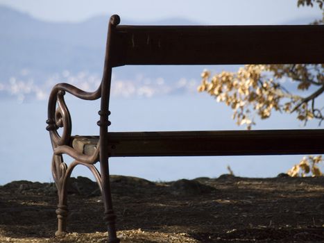 Old bench in the park