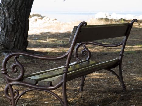 Old bench in the park